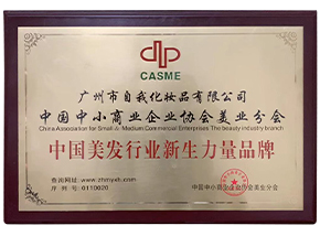 中国美发行业新生力量品牌